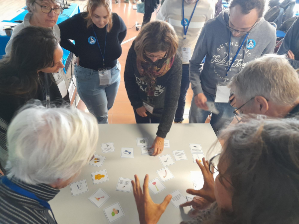 Atelier "jeu de l'oie des oiseaux marins"